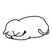 ヒメ日記 2025/08/16 16:28 投稿 ねこ 素人ぽちゃカワ学園