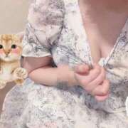 ヒメ日記 2025/09/07 00:11 投稿 ねこ 素人ぽちゃカワ学園