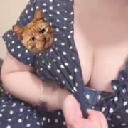 ヒメ日記 2025/09/08 00:51 投稿 ねこ 素人ぽちゃカワ学園