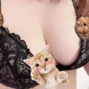 ヒメ日記 2025/10/13 03:52 投稿 ねこ 素人ぽちゃカワ学園