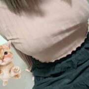 ねこ しゅっきーん 素人ぽちゃカワ学園