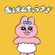 ヒメ日記 2026/01/29 02:14 投稿 ねこ 素人ぽちゃカワ学園