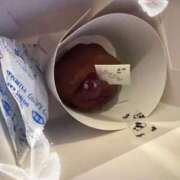 ヒメ日記 2026/03/28 20:01 投稿 ねこ 素人ぽちゃカワ学園