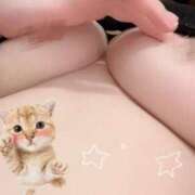 ヒメ日記 2026/04/04 00:41 投稿 ねこ 素人ぽちゃカワ学園