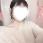 ねこ 次回出勤予定 素人ぽちゃカワ学園