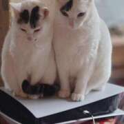 ヒメ日記 2025/11/09 12:58 投稿 チェン 西川口デッドボール