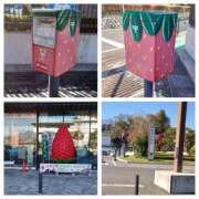 ヒメ日記 2025/11/15 19:58 投稿 チェン 西川口デッドボール