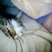 ヒメ日記 2025/12/19 17:24 投稿 チェン 西川口デッドボール