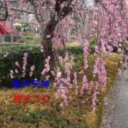 ヒメ日記 2026/03/08 13:01 投稿 チェン 西川口デッドボール