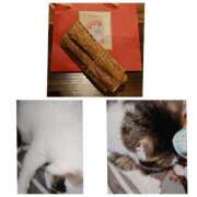 ヒメ日記 2026/03/22 22:18 投稿 チェン 西川口デッドボール