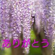 ヒメ日記 2026/05/03 17:28 投稿 チェン 西川口デッドボール