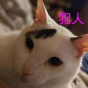 チェン お礼 西川口デッドボール