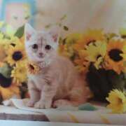 ヒメ日記 2025/09/01 23:35 投稿 夢乃(ゆめの) エッチな熟女(広島)