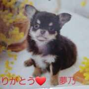 ヒメ日記 2025/09/15 09:05 投稿 夢乃(ゆめの) エッチな熟女(広島)