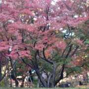 ヒメ日記 2025/11/24 01:50 投稿 夢乃(ゆめの) エッチな熟女(広島)