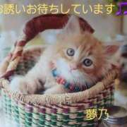 ヒメ日記 2025/11/27 18:51 投稿 夢乃(ゆめの) エッチな熟女(広島)