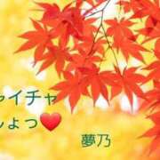 ヒメ日記 2025/11/28 12:33 投稿 夢乃(ゆめの) エッチな熟女(広島)