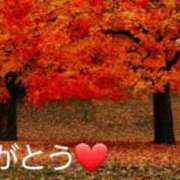 ヒメ日記 2025/12/14 02:10 投稿 夢乃(ゆめの) エッチな熟女(広島)