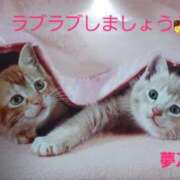 ヒメ日記 2025/12/14 08:00 投稿 夢乃(ゆめの) エッチな熟女(広島)