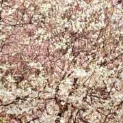 ヒメ日記 2026/02/23 20:50 投稿 夢乃(ゆめの) エッチな熟女(広島)