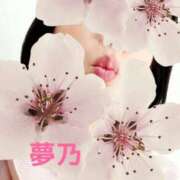 ヒメ日記 2026/04/04 11:14 投稿 夢乃(ゆめの) エッチな熟女(広島)