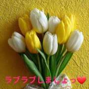 ヒメ日記 2026/04/11 07:40 投稿 夢乃(ゆめの) エッチな熟女(広島)