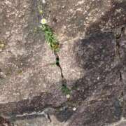 ヒメ日記 2026/04/21 08:00 投稿 夢乃(ゆめの) エッチな熟女(広島)