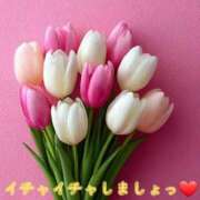 ヒメ日記 2026/04/28 12:20 投稿 夢乃(ゆめの) エッチな熟女(広島)