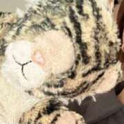 ヒメ日記 2025/08/13 12:18 投稿 りっか ぽっちゃり巨乳専門店 町田相模原ちゃんこ