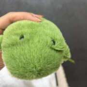 ヒメ日記 2025/08/28 15:43 投稿 りっか ぽっちゃり巨乳専門店 町田相模原ちゃんこ