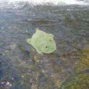 ヒメ日記 2025/10/13 21:20 投稿 りっか ぽっちゃり巨乳専門店 町田相模原ちゃんこ