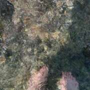 ヒメ日記 2025/09/10 22:16 投稿 本庄 久留米デリヘルセンター