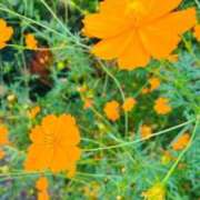 本庄 おはようございます 久留米デリヘルセンター