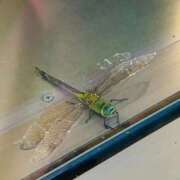 本庄 こんにちは 久留米デリヘルセンター