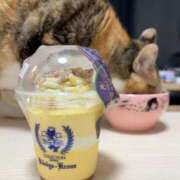 ヒメ日記 2025/08/30 07:00 投稿 愛瑠/める ANEJE～アネージュ池袋～(ユメオト)