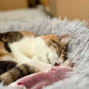 ヒメ日記 2025/09/05 12:00 投稿 愛瑠/める ANEJE～アネージュ池袋～(ユメオト)