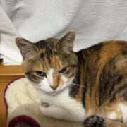 ヒメ日記 2025/09/19 12:00 投稿 愛瑠/める ANEJE～アネージュ池袋～(ユメオト)