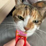 ヒメ日記 2025/09/26 07:00 投稿 愛瑠/める ANEJE～アネージュ池袋～(ユメオト)