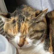 ヒメ日記 2025/09/27 07:01 投稿 愛瑠/める ANEJE～アネージュ池袋～(ユメオト)