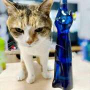 ヒメ日記 2025/10/02 07:00 投稿 愛瑠/める ANEJE～アネージュ池袋～(ユメオト)