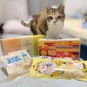 ヒメ日記 2025/10/11 07:00 投稿 愛瑠/める ANEJE～アネージュ池袋～(ユメオト)