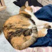 ヒメ日記 2025/10/15 12:01 投稿 愛瑠/める ANEJE～アネージュ池袋～(ユメオト)