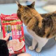 ヒメ日記 2025/10/31 07:00 投稿 愛瑠/める ANEJE～アネージュ池袋～(ユメオト)