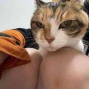 ヒメ日記 2025/11/07 13:30 投稿 愛瑠/める ANEJE～アネージュ池袋～(ユメオト)