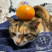 ヒメ日記 2025/11/28 13:30 投稿 愛瑠/める ANEJE～アネージュ池袋～(ユメオト)