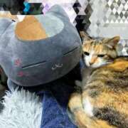 ヒメ日記 2026/01/01 13:00 投稿 愛瑠/める ANEJE～アネージュ池袋～(ユメオト)