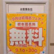 まみ 告知です♪ PLATINA