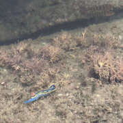 春 本日も出勤しました(⑉••⑉)❤︎ モアグループ所沢人妻城