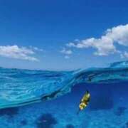 ヒメ日記 2025/08/28 09:23 投稿 さき 横浜おかあさん