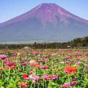 ヒメ日記 2025/09/03 08:25 投稿 さき 横浜おかあさん
